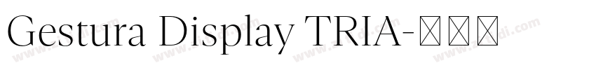 Gestura Display TRIA字体转换 Gestura Display TRIA字体转换
